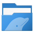 dolphin